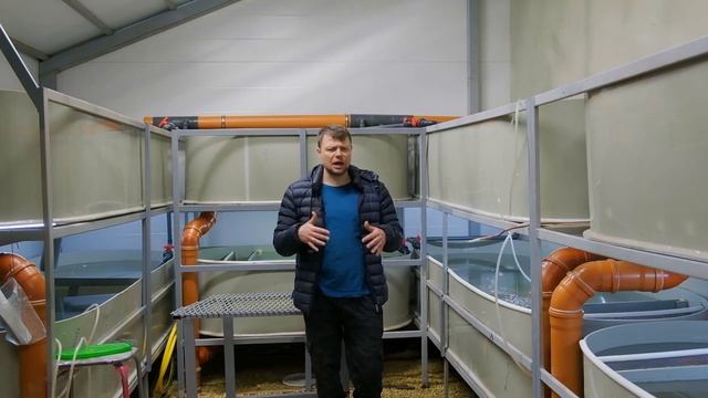 Инкубация икры муксуна часть 2 смотреть онлайн