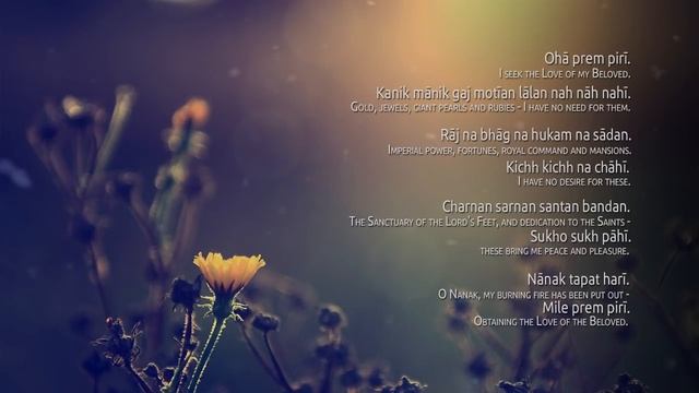 Музыка-мантра OHA PREM PIRI Мантра Божественной любви смотреть онлайн