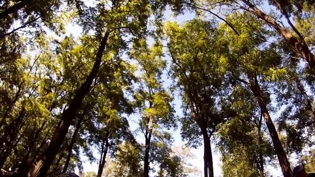 Майорщинська школа-інтернат смотреть онлайн