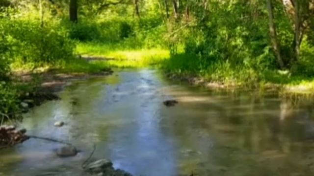Время с пользой... смотреть онлайн