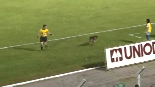 CALDENSE X VILLA NOVA смотреть онлайн