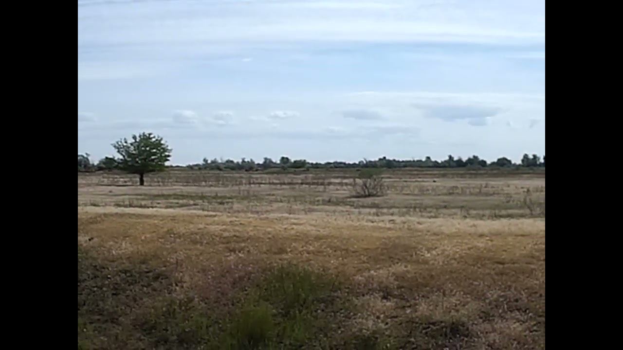 12.05.2024 ЧТО ДЕЛАТЬ? : ЛПХ В ОПАСНОСТИ смотреть онлайн