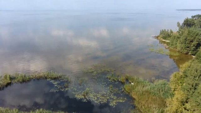 ОШИТКИ – XI. НА ЗАКАТЕ ЛЕТА. ОШИТКОВСКАЯ КОСА и РОВЖИНСКИЕ ГРИВЫ (13.09.2019) смотреть онлайн