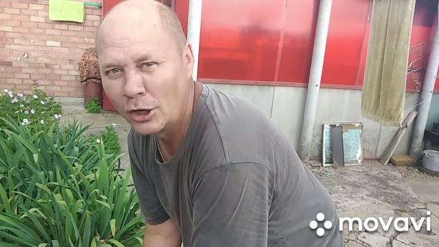 Эдик и🙄🙄🙄🙄🙄.... смотреть онлайн