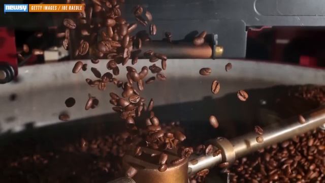 What This Year's Research Told Us About Coffee смотреть онлайн