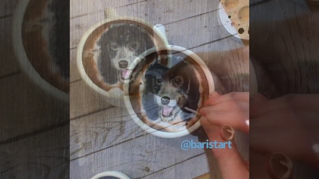 Adorable Puppy latte art by Michael Breach смотреть онлайн