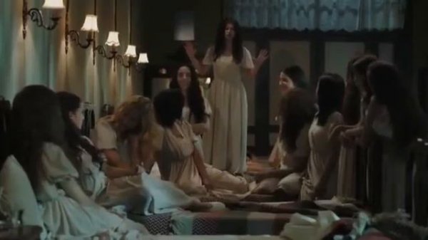 Королек птичка певчая 1 серия