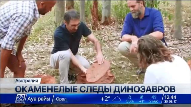 В Австралии ученые обнаружили гигантский след динозавра смотреть онлайн