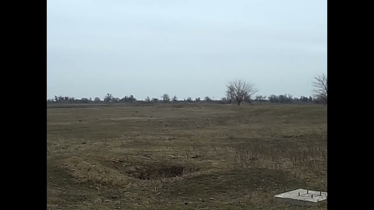 23.03.2024 Бесконтрольные перевозки скота смотреть онлайн