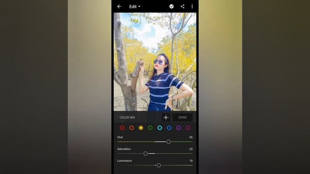 Lightroom presents/ Yellow sum filter смотреть онлайн
