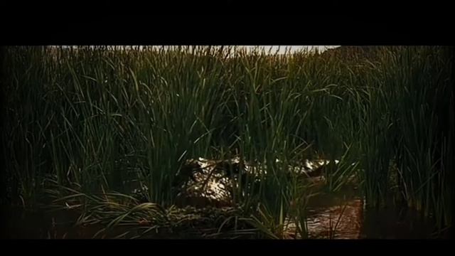CROCODILO SERIAL KILLER- ANIMAIS SERIAL KILLERS #4 смотреть онлайн