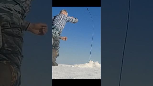 Fishing. We catch pike and pike perch. Рыбалка. Ловим щуку и судака в корягах. смотреть онлайн