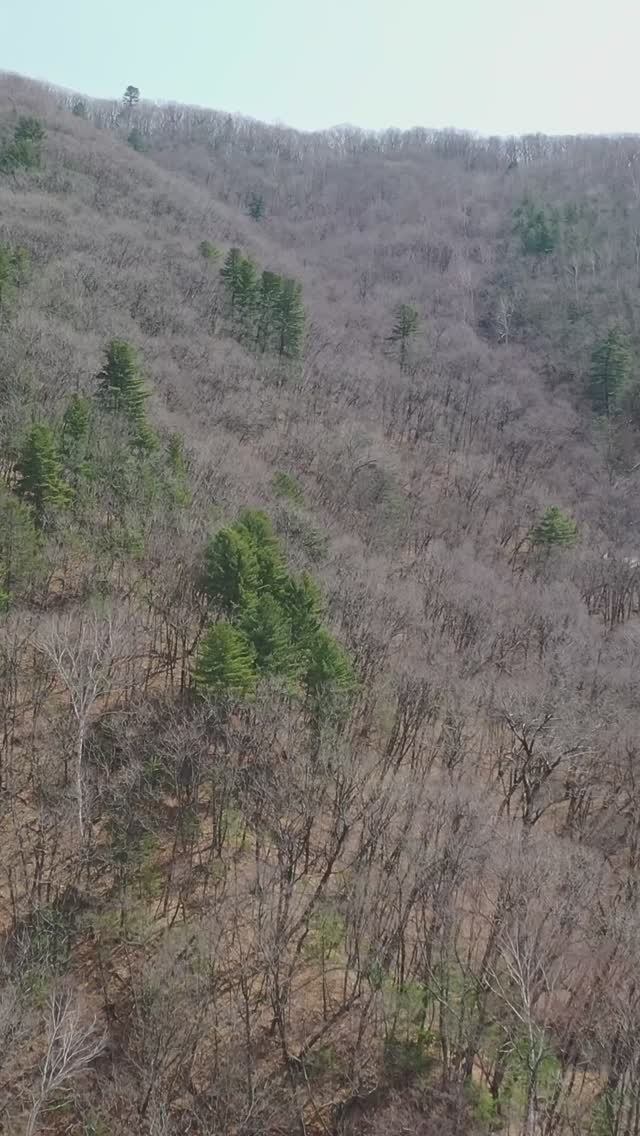 В долине реки Партизанская, Приморский край смотреть онлайн