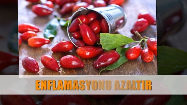 Kızılcık suyunun faydaları nelerdir? Kızılcık hangi hastalıklara iyi gelir? смотреть онлайн