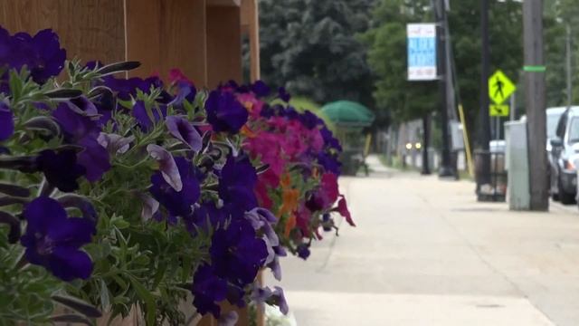 New Grand Rapids coffee and bar would cater to drinkers and non-drinkers смотреть онлайн