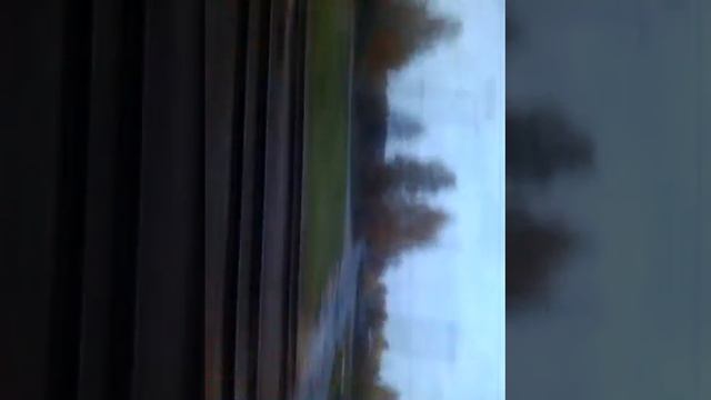 Поезд №654 Минск Витебск - Станция Новосады смотреть онлайн