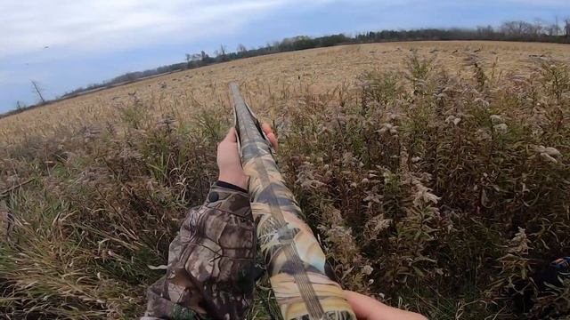 Fresh CORN GOOSE hunt with SILHOUETTES mixed with BIGFOOT DECOYS смотреть онлайн