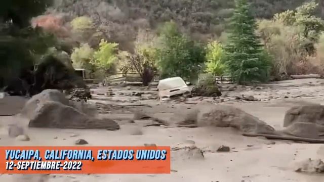 Nunca se había visto algo tan espeluznante en la zona смотреть онлайн