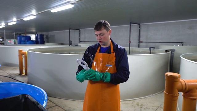 Филешка Выпуск 3 смотреть онлайн