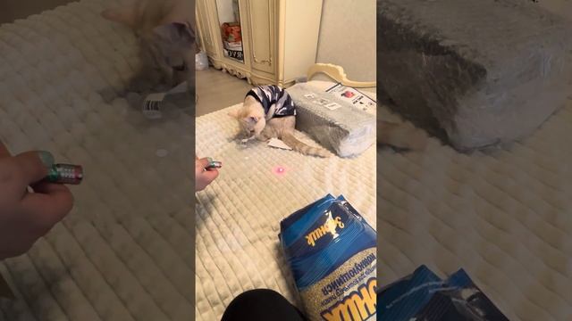 25 марта 2024 г. смотреть онлайн