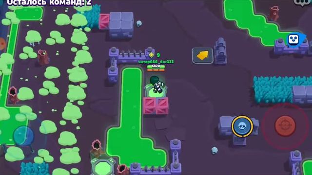 браво квас смотреть онлайн