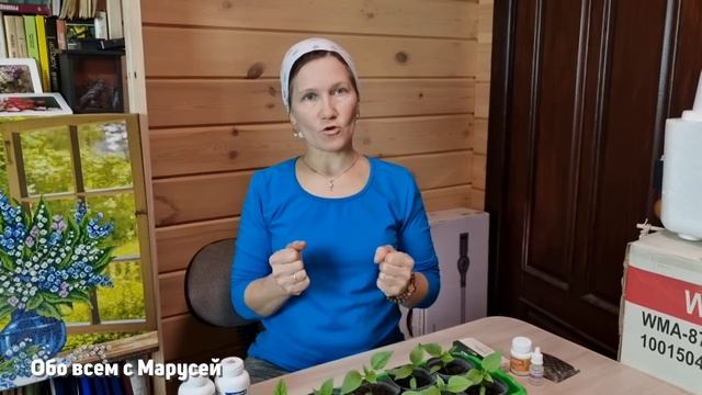 РАССАДА КРЕПКАЯ СТЕБЕЛЬ ЖИРНЫЙ ЛИСТ ЗЕЛЕНЫЙ ВАЖНАЯ ПОДКОРМКА @obovsemsmarusya