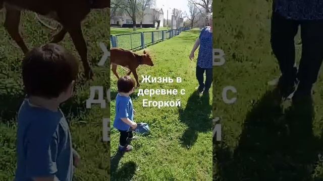 жизнь в деревне смотреть онлайн