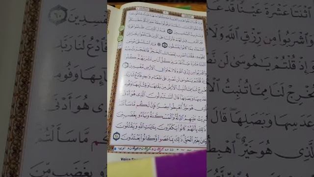2nd year islamiat elective lecture no #17 смотреть онлайн
