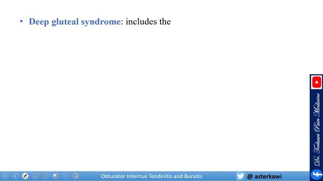 Obturator Internus Dysfunction, Tendonitis, Bursitis, and Injection смотреть онлайн