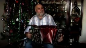 Гармонист Валентин Павлович Наумкин.