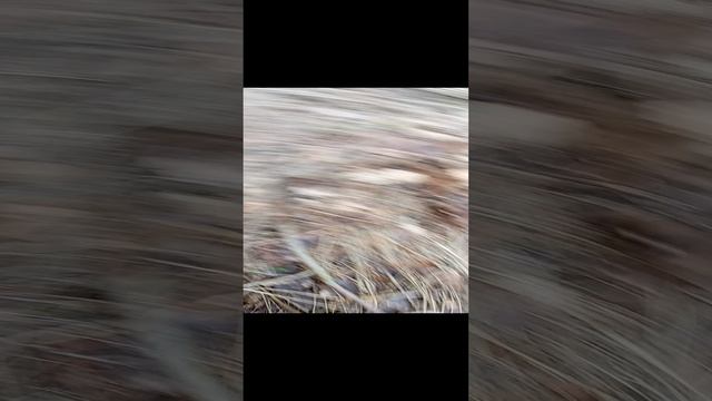 экстремальный костёр 2.mp4 смотреть онлайн