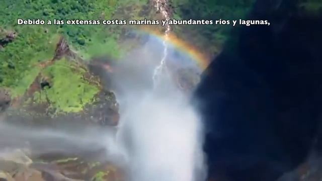 Carlos Michel Fumero: VENEZUELA Y SU FAUNA смотреть онлайн