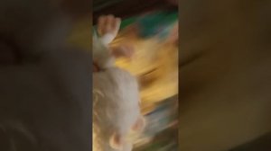 буба 1 серия