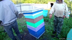 Пасека 500+ семей.Точок №3