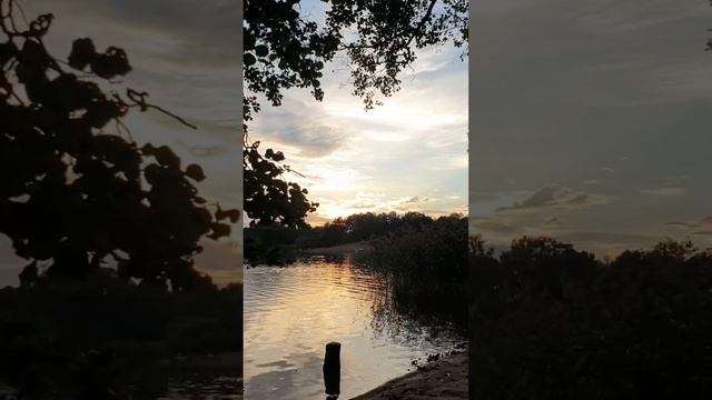 В Озерках. смотреть онлайн