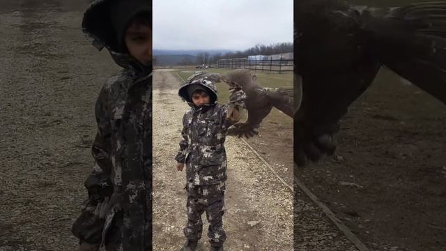 прогулка с другом..... смотреть онлайн