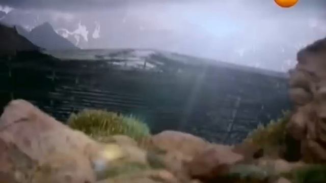 НОЙ.Изумленные ученые развели руками,к такому не были готовы.Думали,что столб,оказалось нога