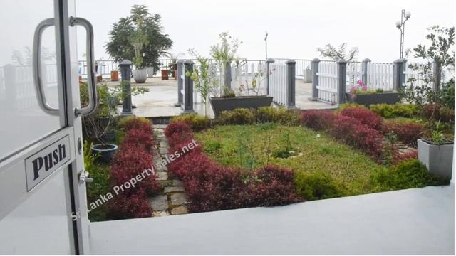 Scenic Hotel in HAPUTALE смотреть онлайн