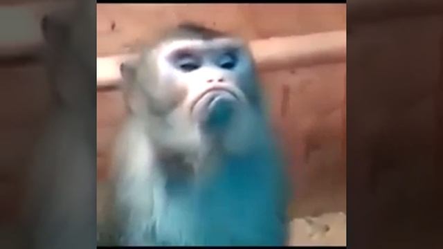 Я обиделась смотреть онлайн
