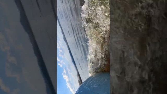 Цвет воды #russia #youtubeshorts #asmr #beautiful #fishing #2024 #россия #аргази #челябинск