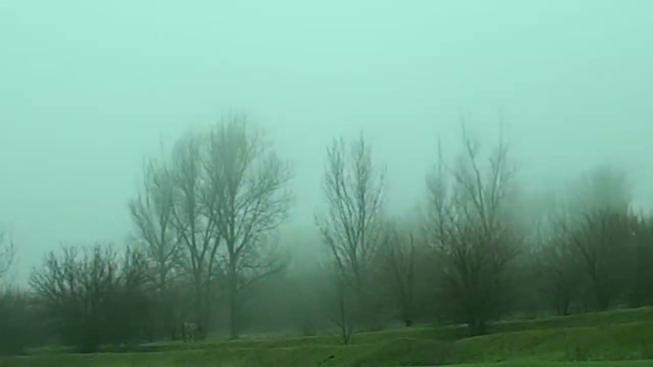 04.12.2023 ЧТО ДЕЛАТЬ? : ЛПХ В ОПАСНОСТИ смотреть онлайн