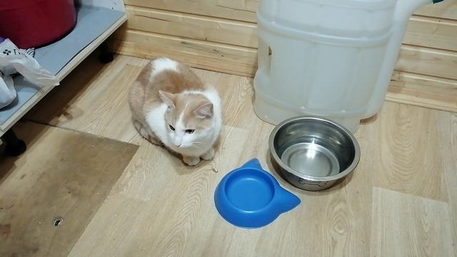 VID_20250118_175336 смотреть онлайн