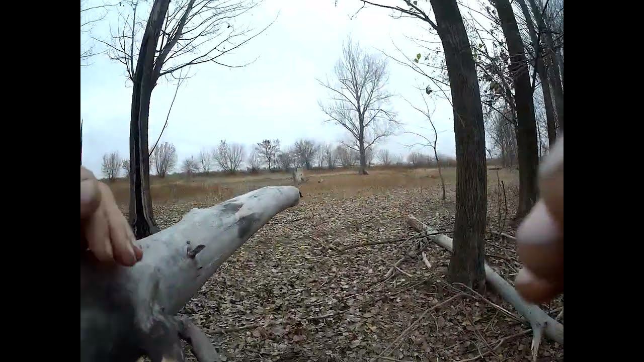 10.11.2024 ЧТО ДЕЛАТЬ? : ЛПХ В ОПАСНОСТИ смотреть онлайн