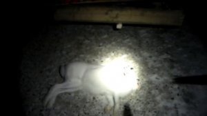 Ночная охота на зайца!