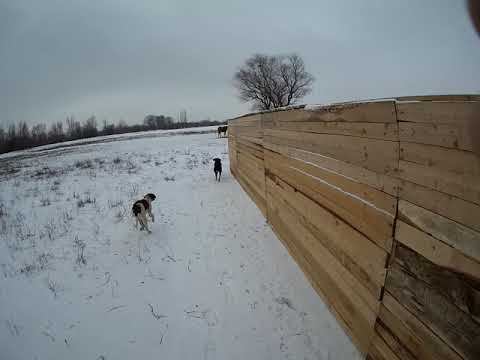 09.01.2024 ЧТО ДЕЛАТЬ? : ЛПХ В ОПАСНОСТИ смотреть онлайн