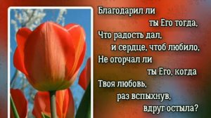 Благодарил ли ты Христа