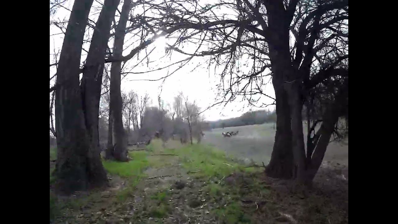 12.04.2024 ЧТО ДЕЛАТЬ? : ЛПХ В ОПАСНОСТИ смотреть онлайн