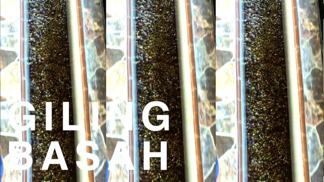 Light, Medium & Dark Roast Coffee - What's the difference? | Kaffa Classics with Mike смотреть онлайн