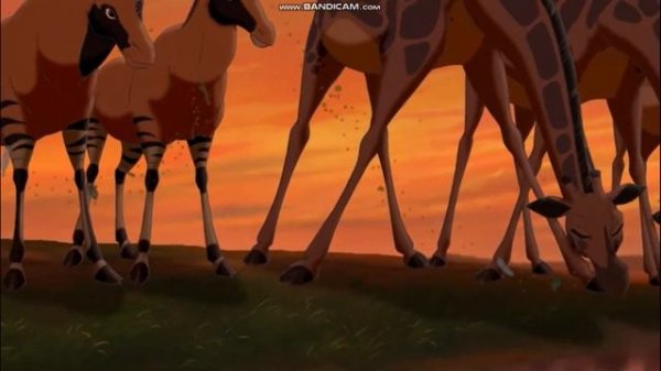 🧡Рождение Киары. Король Лев. Киара🧡