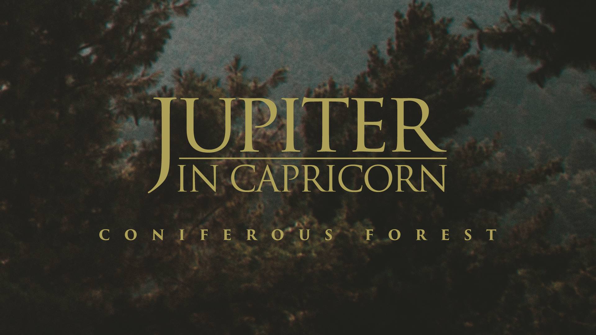 Jupiter In Capricorn - Coniferous Forest (ambient Music, Drone, Soundscapes, Field Recordings)